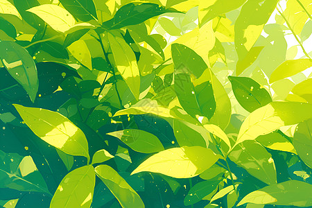 树荫下的茶叶高清图片