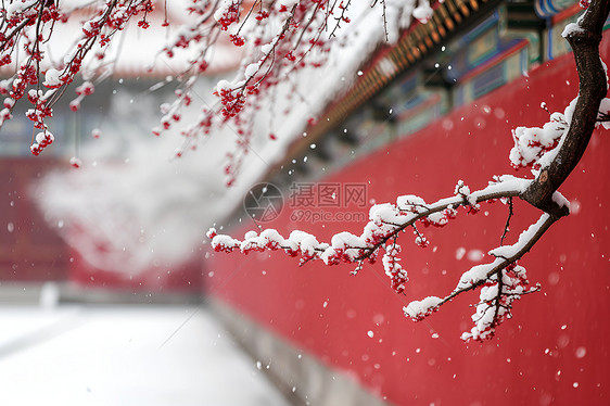 冰雪覆盖的紫禁城图片