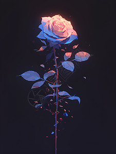 玫瑰上的微光图片