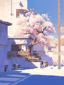 春日艺术之街图片