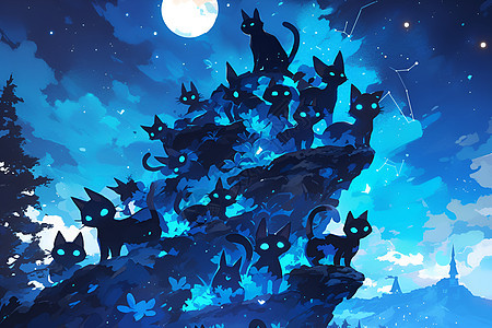神秘夜空中的猫图片