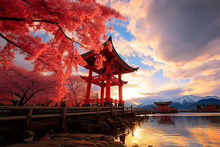 樱花树旁的红色亭子图片