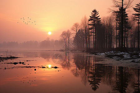 日出时的湖泊图片