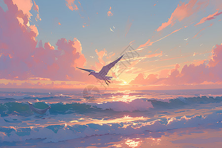 日落下的海面和海鸥背景图片