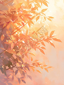 阳光下的树叶图片