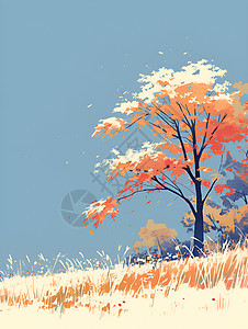 秋日的树木图片