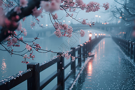 风景桥下雨时的桥背景