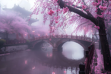 河边美丽的樱花树图片