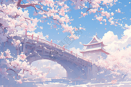 河流上的桥梁和樱花图片