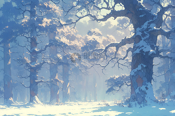 冬日静谧雪林图片