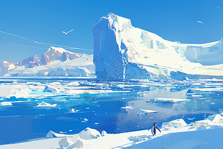 一只北极的企鹅高清图片