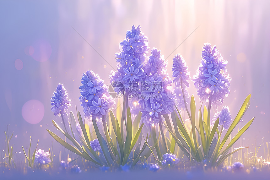 紫色唯美花卉图片