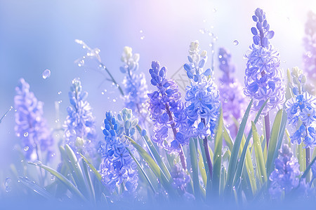 春色绚丽紫色花朵图片