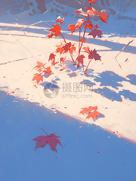 雪地上的红叶图片