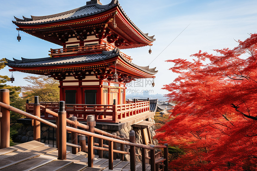 红叶下的清水寺图片
