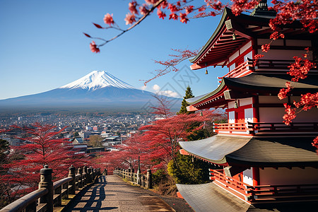 富士山枫叶枫叶下的寺庙背景