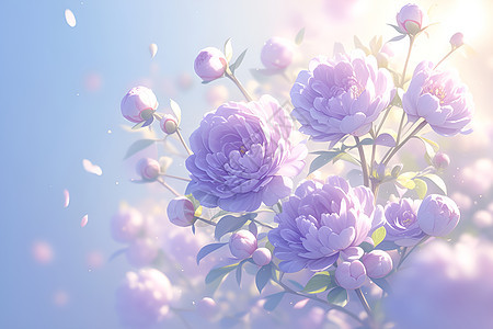 紫色牡丹绽放的绚丽动人美景图片