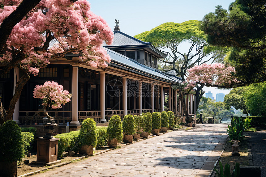 樱花街道上的古典建筑图片