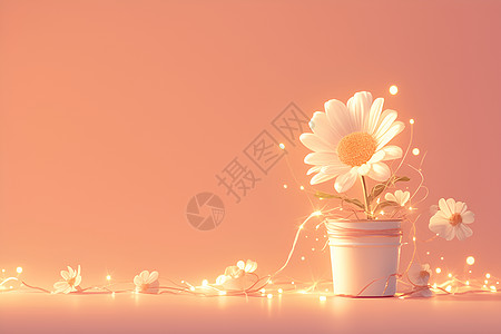 仙女灯环绕的花盆图片