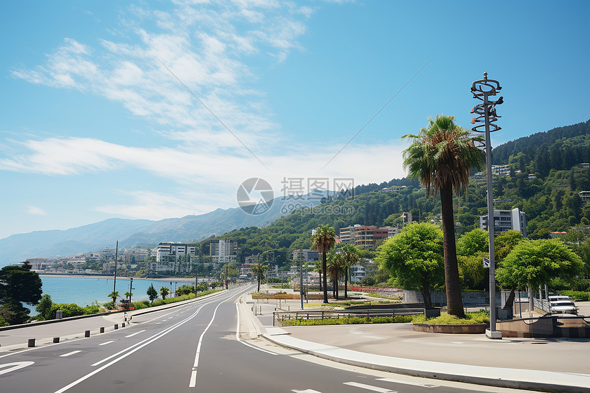 海边的公路图片