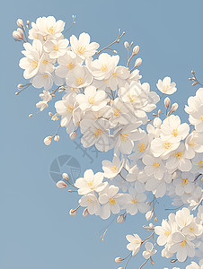 盛开于深蓝天空下的粉樱花图片
