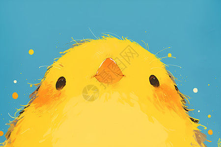 色彩鲜艳的小黄鸟图片