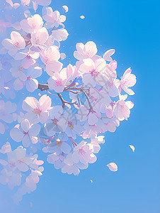 樱花在蔚蓝天空下盛开图片
