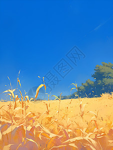 丰收的金黄麦子背景图片