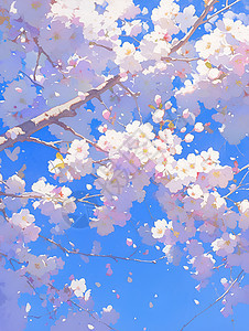 春天中的粉色樱花图片
