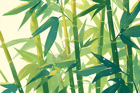 一片绿色的竹林图片