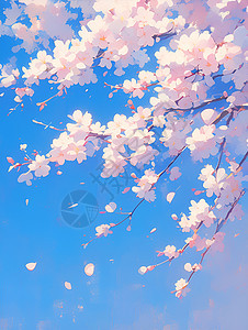 盛开的绚烂樱花图片