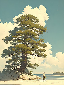 展示的松树插图图片