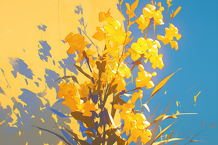 美丽的黄花图片