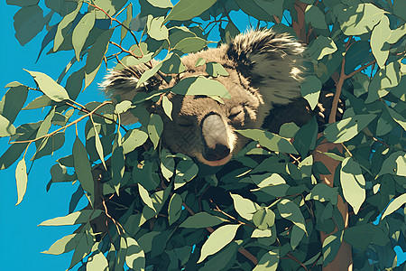一只考拉坐在树枝上图片