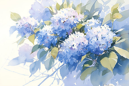 暖阳下的蓝色绣球花图片