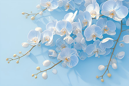 清新蓝色背景上的花朵图片