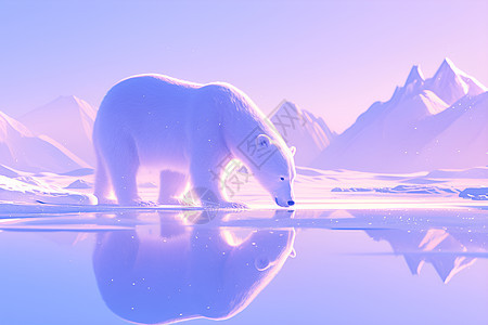 冰川上的北极熊图片