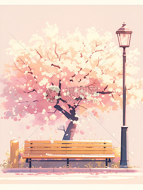 公园樱花树下的长椅图片