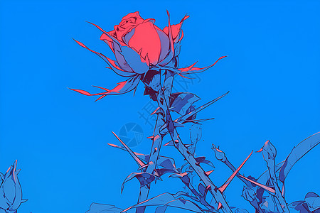 玫瑰花茎上的刺图片