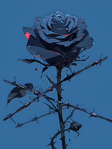 鲜艳的黑色玫瑰图片
