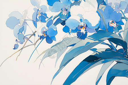 淡蓝色的兰花图片