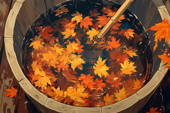 秋日的枫树汁图片