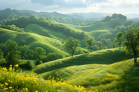 绿色绵延的小山丘图片