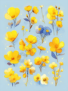 美丽的黄色小花图片