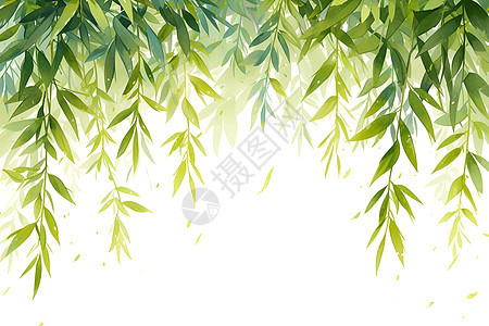 绿叶低垂的柳树图片