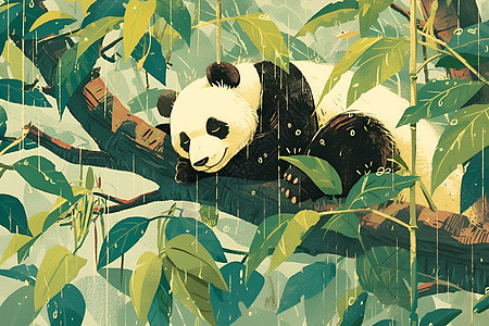 雨中树上的熊猫图片