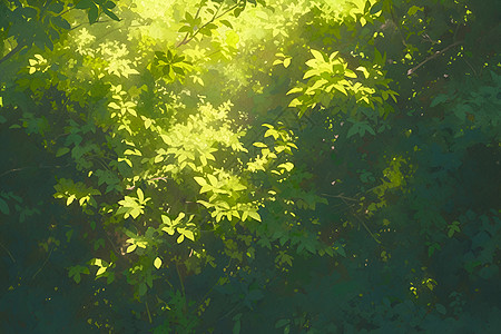 夏日的微光和树木图片