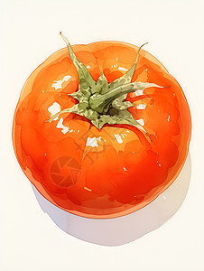 水彩柿子图片
