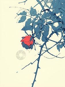 红花绽放在枝头图片