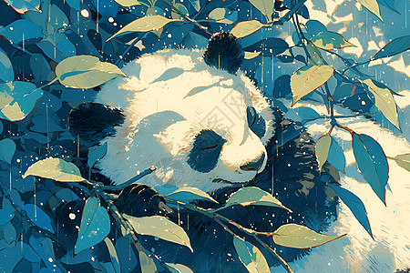 熊猫在雨滴密集的浓密树叶间图片